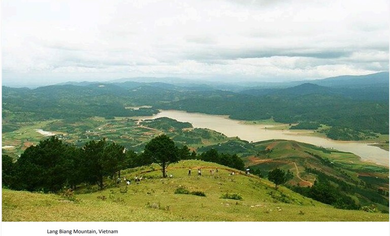 Daklak coffee plantations, Vietnam