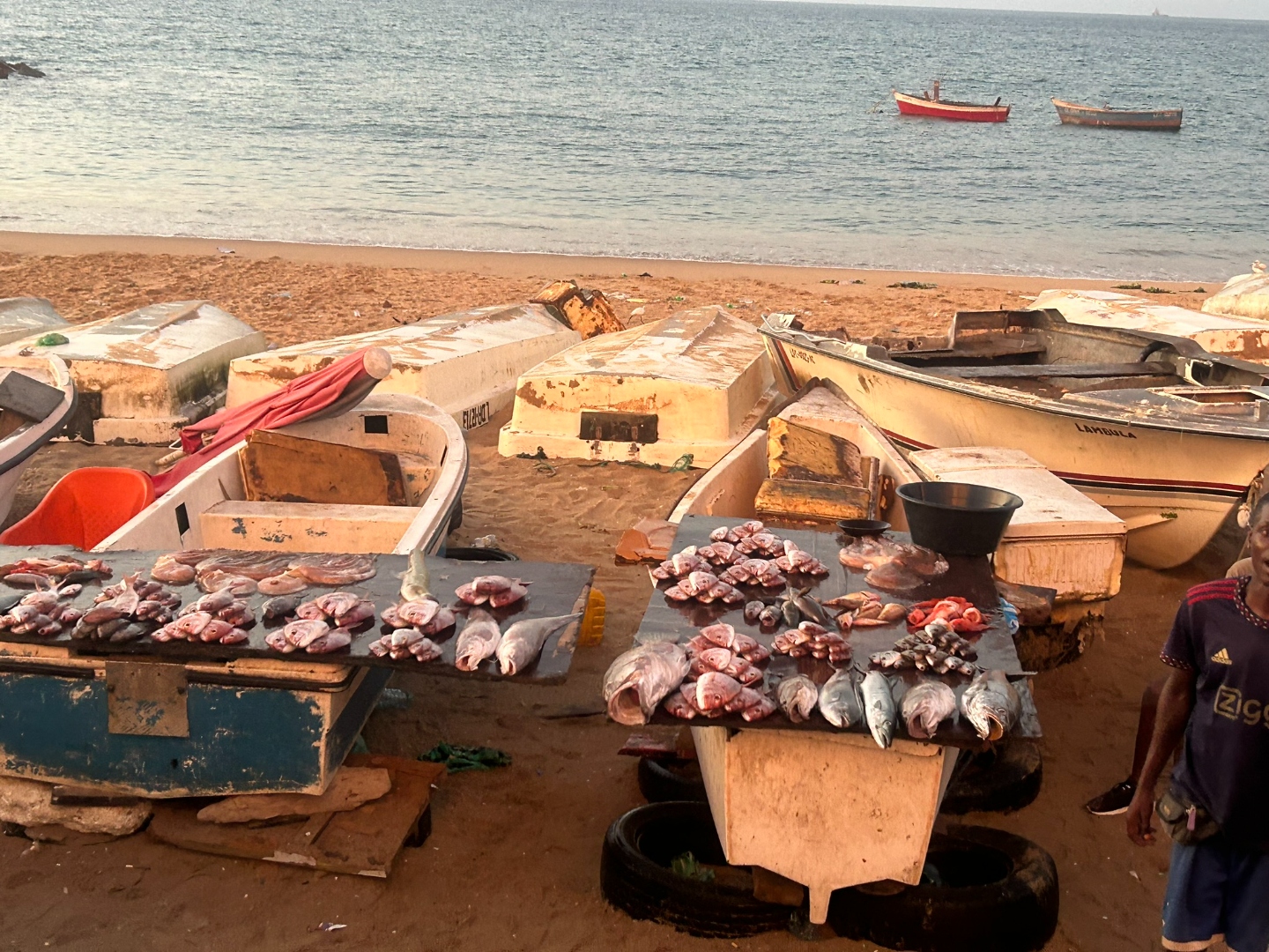 Fish in Luanda