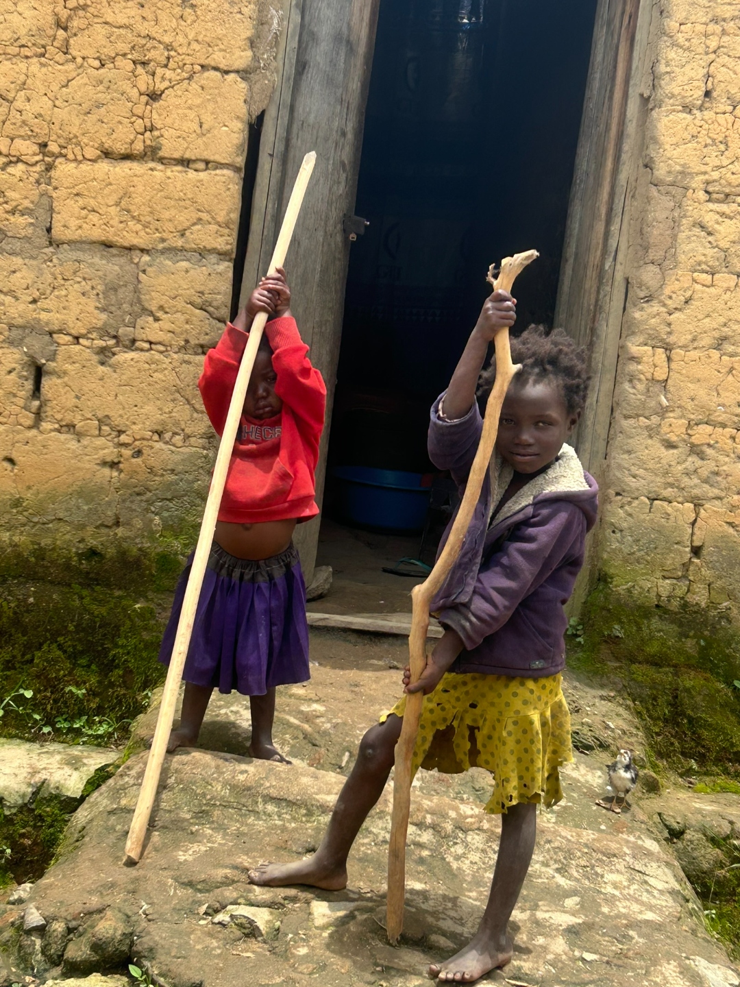 Girls with sticks