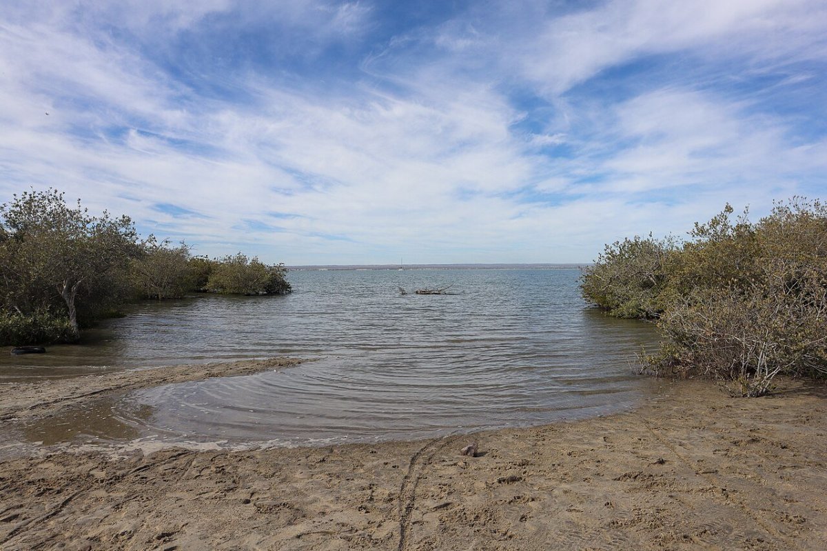 Mangrove-fringed lagoon in Baja California Sur, Mexico