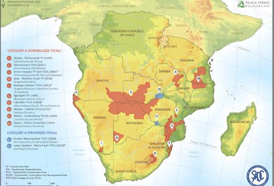 Map of transfrontier conservation areas in Southern Africa, Peace Parks Foundation 2024